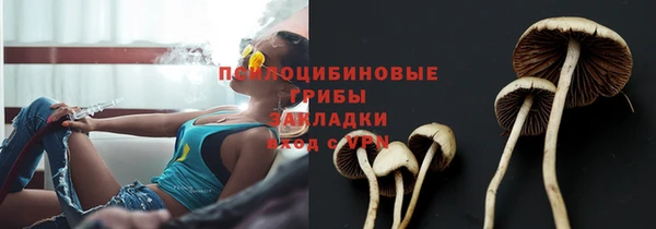 эйфоретик Нефтекумск