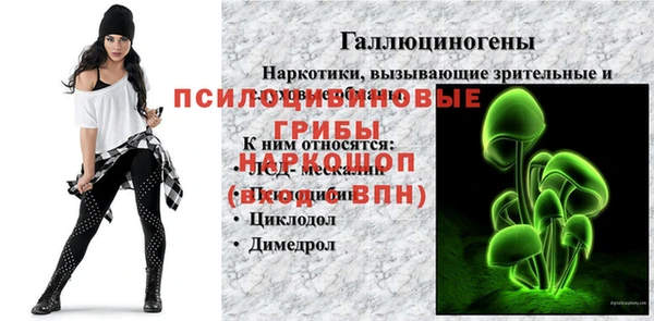 эйфоретик Нефтекумск